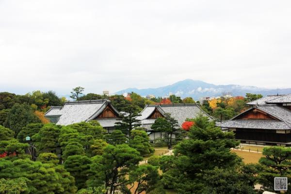 從天守閣跡往下俯瞰，可以看到本丸御殿全貌，也可遠眺京都市區的優美景色。城內還種有許多巨大的銀杏樹，每到秋天時，城內就飄滿金黃色銀杏葉，如雪片般飛落。