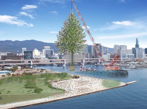 神戶擁有全世界最高聖誕樹 11月中啟動植樹儀式 