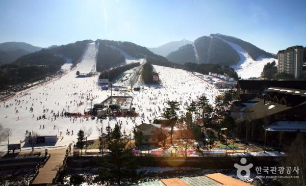 高山滑雪項目則會在龍平渡假村舉行。