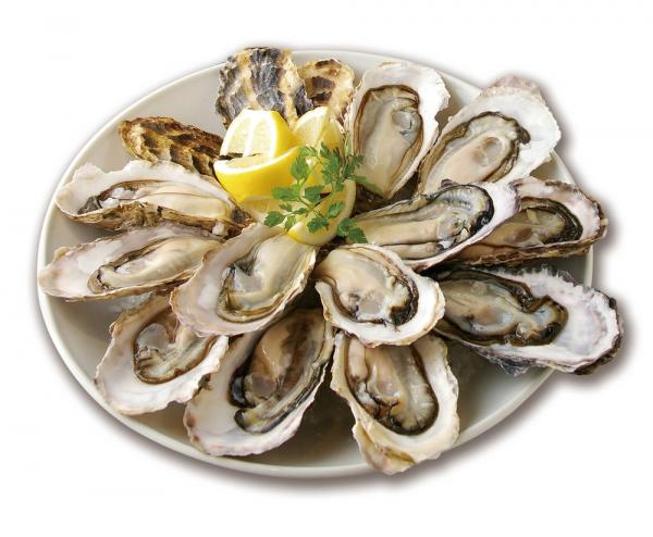 日本最大生蠔吧 半價益蠔客!