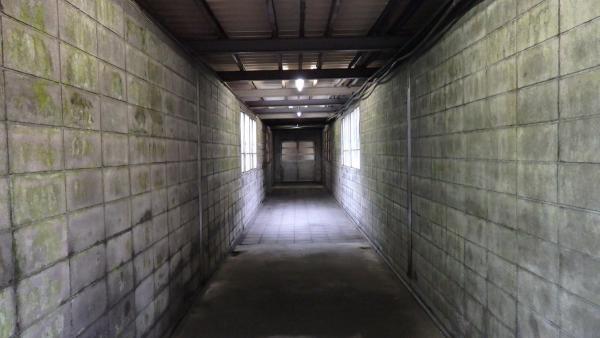 日本無人+最深車站 心驚驚走 486 級樓梯先搭到車