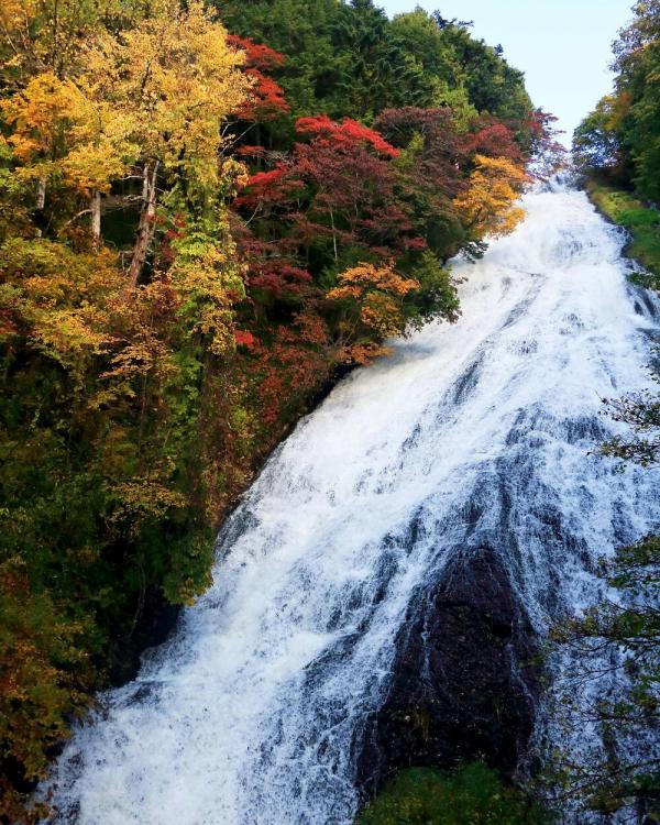 湯瀧與華嚴瀑布及龍頭瀑布，合稱「奧日光 3 大名瀑」。（na_tsu_ran@IG）
