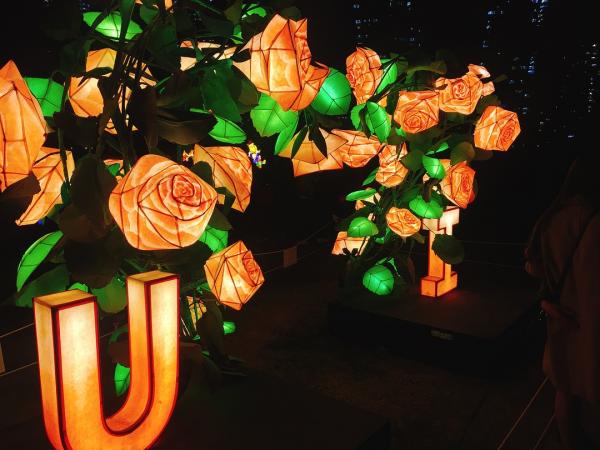 LED 玫瑰園外，仲有一個比人更大嘅玫瑰燈飾，唔好錯過！