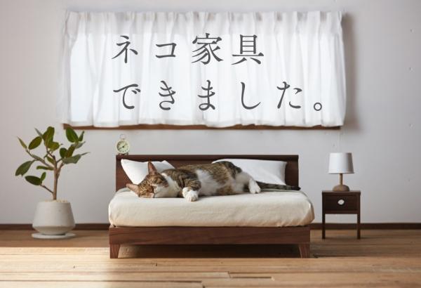 日本 職人打造 超有質感 喵家具 