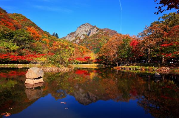白羊寺後方的山配鮮紅楓葉是白羊寺的秋色。