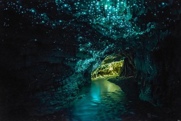 Waitomo 是毛利語，「Wai」指水而「tomo」指洞，合併起來就是被水環繞的洞穴。Waitomo Glowworm Caves 1877 年由毛利族酋長 Tame Tinorau 及英國測量師 