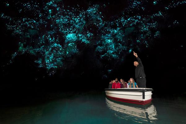 導遊會為你講解洞穴的歷史、故事和其構造，亦會介紹螢火蟲的特性。