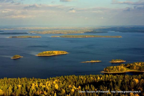 從 芬蘭 科利國家公園向海望去，變黃的樹木縮細了，好像秋天陸地上的稻田。