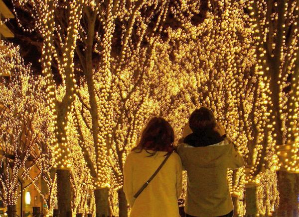 仙台一年一度最耀眼的冬日盛事第32回「SENDAI光之盛會2017」將於12月8日至12月31日亮燈，約60萬顆LED燈照耀住禪寺通的160棵樹，整條街超繽紛，勁有聖誕氣氛！咁浪漫嘅行程，記得bo