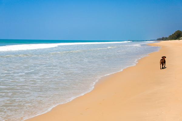 Natai 海灘有 200 米長，勝在夠幽靜。