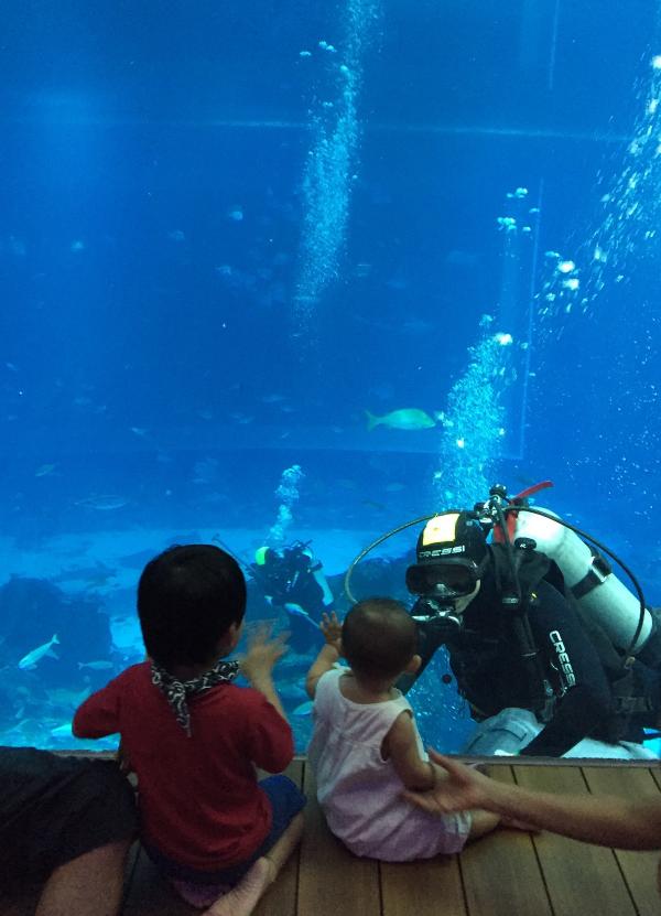 遇上水族館內的潛水員，更會同你打招呼！ (圖:di_myasnikova@ig)