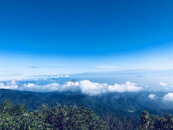 Mon Jam 位於海拔 1,400 米的高山，加上冷空氣，很容易見到雲海，所以有唔少人會來賞花後再住一晚，睇雲海。 （圖：thime_wellnesstourismthailand@IG）
