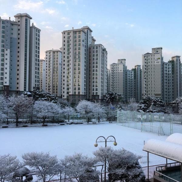 截至 24 日早上,京畿道平澤市錄得 9cm 積雪、忠清南道雞龍市 9.9cm、忠清北道鎮川郡 10cm,而首爾則降雪量最低,錄得 1.5cm。(圖:1228fleur @IG) 截至 24 日早上,京畿道平澤市錄得 9cm 積雪、忠清南道雞龍市 9.9cm、忠清北道鎮川郡 10cm,而首爾則降雪量最低,錄得 1.5cm。(圖:1228fleur @IG)