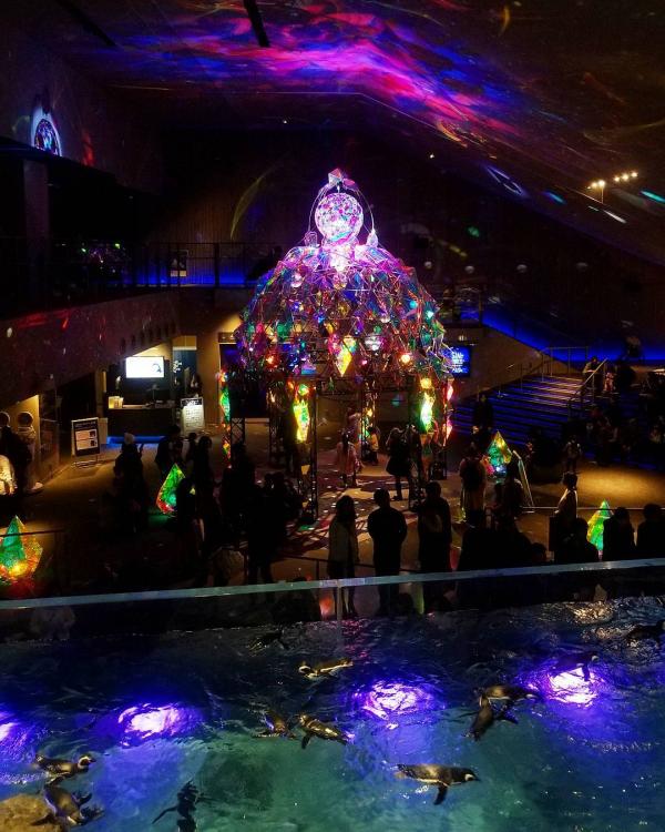 超夢幻！日本水族館轉身變 bling bling 海底世界 
