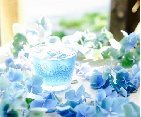 女生 high tea 必飲！日本推超夢幻天藍色綠茶 