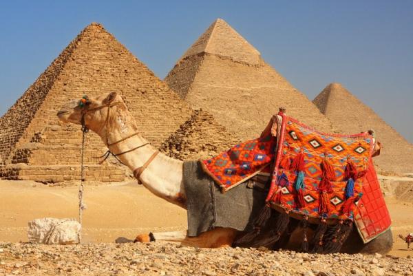 埃及是世界著名的文明古國，你可以見到很多現代化的設施及建築，亦不缺當地的古建築。首都開羅，是旅客到訪埃及的必經之地。由開羅出發，你可以在參加巴士導賞團，前往不同的景點，如清真寺，當然少不得參觀金字塔！