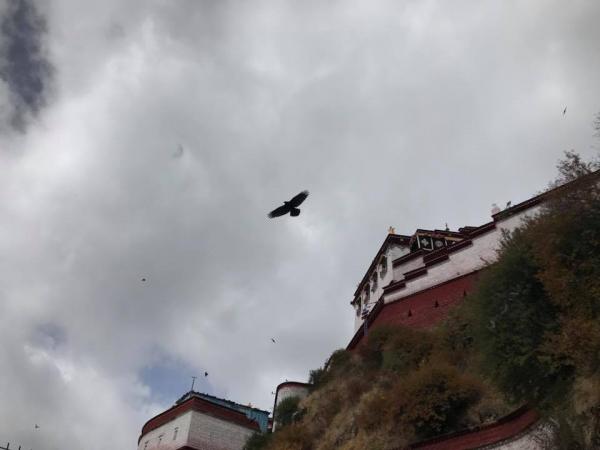余迪偉西藏之旅　 拼命三郎上身喪浸海拔 4,500 米溫泉