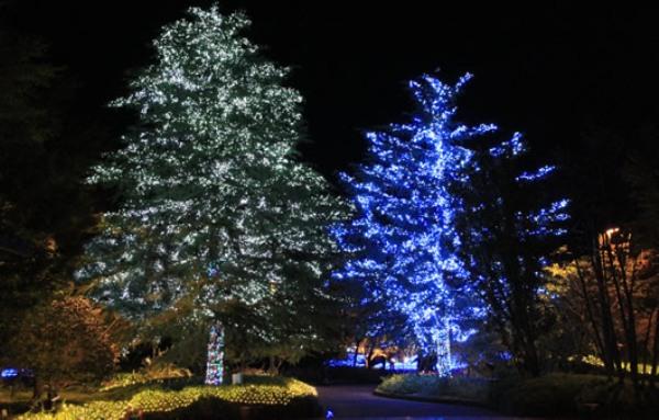 兩棵高約 20 米、滿佈 LED 燈飾的「雙子樹」，也是打卡的必到之處。