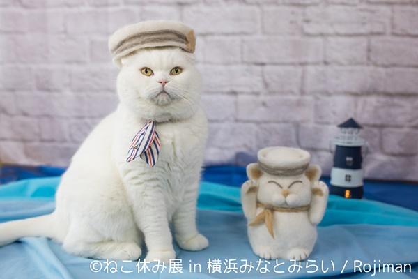 橫濱貓咪休假寫真展 大型貓繪馬登場