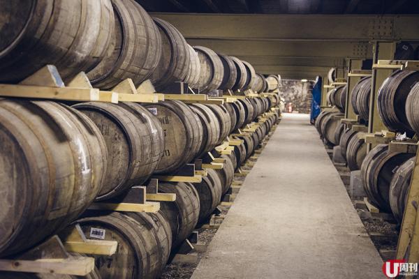 在專業導賞員陪同下，走進了百年酒窖，了解 220 年傳統釀酒過程。