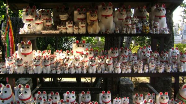 豪德寺　有個「猫観音を祀る招猫殿」擺放了過千隻大大小小的招財貓。