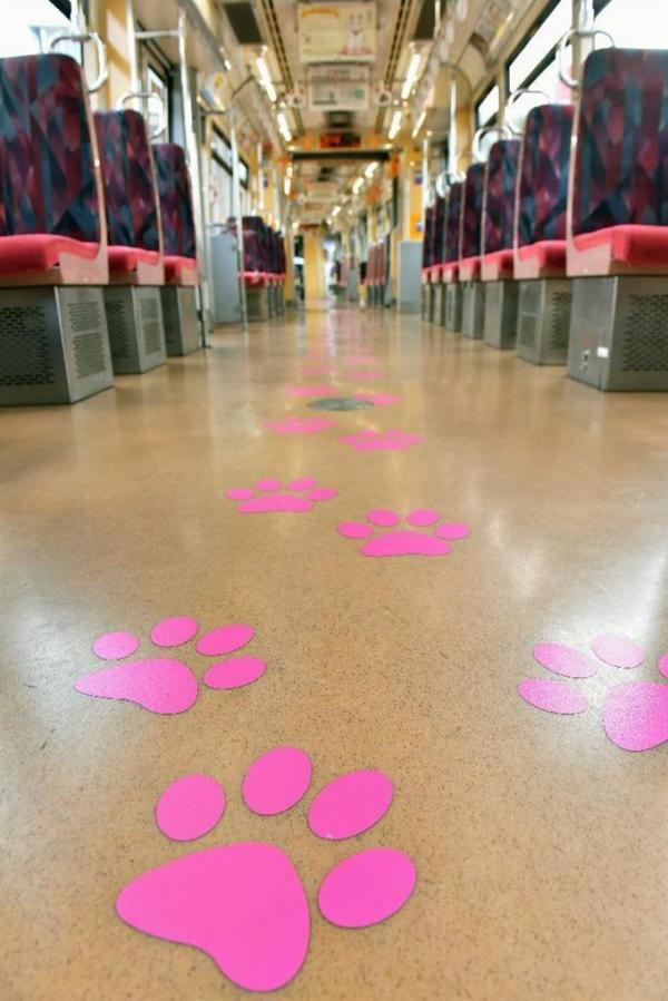 連車廂地下都印有招財貓腳印。