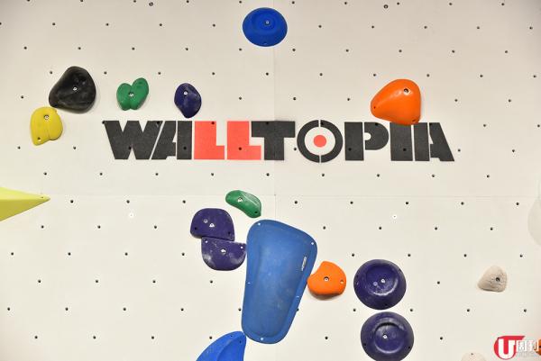 Walltopia 亦是國際攀石牆品牌，用料、釘位、斜度都是精心設計。