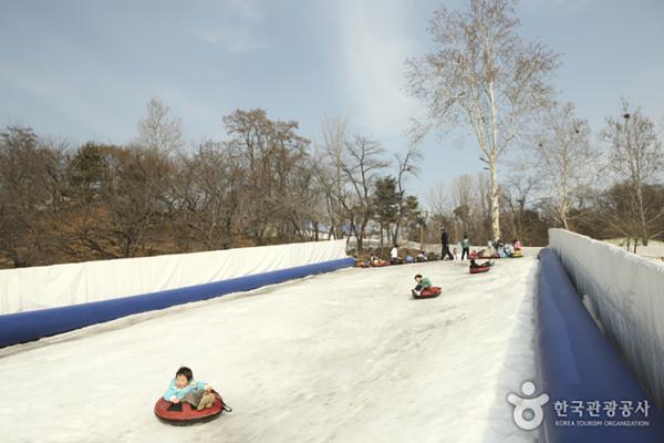 首爾 8 大室內外溜冰場、雪橇場 冬日滑雪以外的好選擇