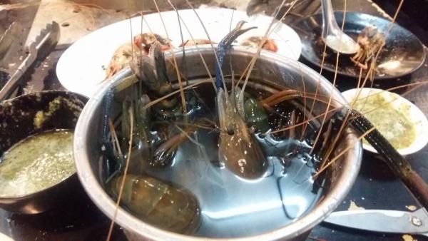 夾上來的大頭蝦不要立刻在放在爐裏燒，先放在餐廳附設的冰桶，冷卻/鎮靜大頭蝦，令牠不會「生蝦咁跳」。