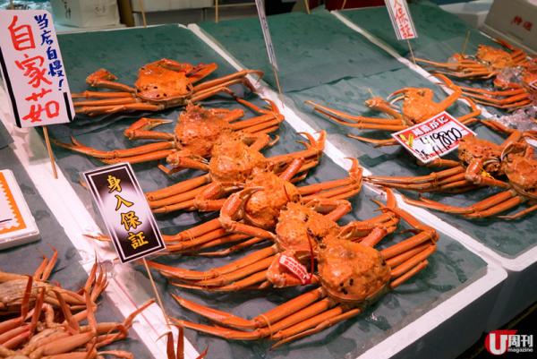 店多、款式多，約 60 間店，簡真是海鮮控的天堂。