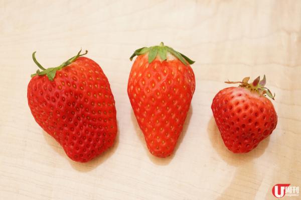 特大的滑雪道，減低碰撞機會，最啱滑雪新手。