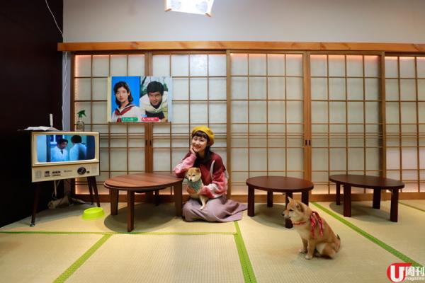  店內以日式榻榻米布置，老舊的電視放着山口百惠的老歌，極具情調，影相一流。