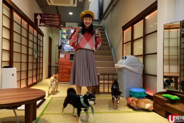  店內以日式榻榻米布置，老舊的電視放着山口百惠的老歌，極具情調，影相一流。