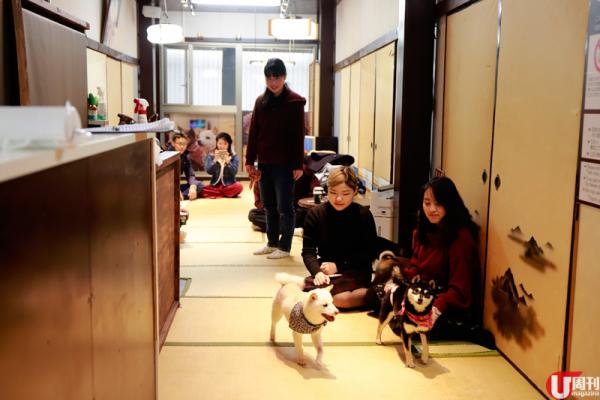  店內以日式榻榻米布置，老舊的電視放着山口百惠的老歌，極具情調，影相一流。