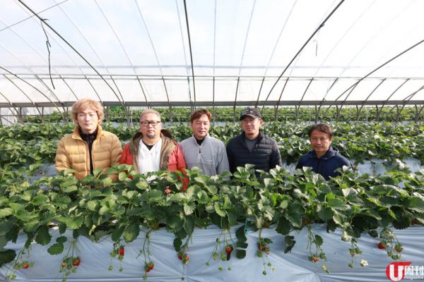 半隻腳踏入士多啤梨包裝工場，已經聞到陣陣甜香。 