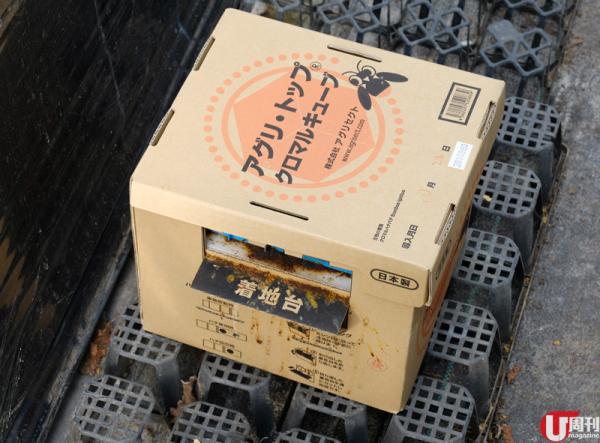 半隻腳踏入士多啤梨包裝工場，已經聞到陣陣甜香。 