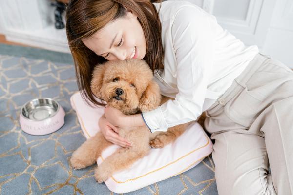 20大寵物友善．可帶貓狗入住酒店合集 麗思卡爾頓酒店（The Ritz-Carlton Hong Kong）  【THE PAWFECT STAY 寵物住宿體驗】