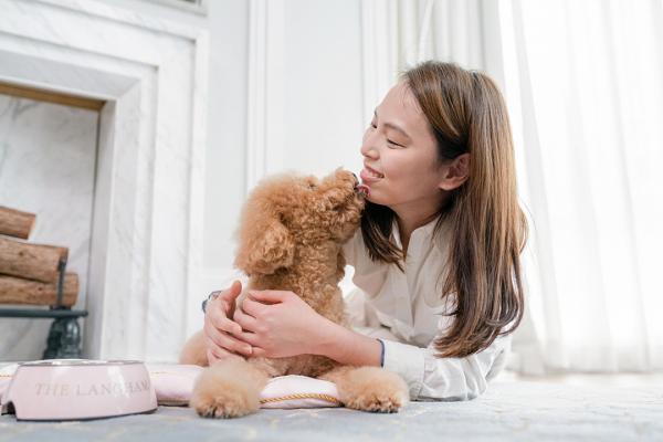 20大寵物友善．可帶貓狗入住酒店合集 麗思卡爾頓酒店（The Ritz-Carlton Hong Kong）  【THE PAWFECT STAY 寵物住宿體驗】