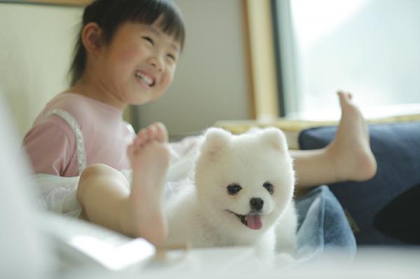 20大寵物友善．可帶貓狗入住酒店合集 麗思卡爾頓酒店（The Ritz-Carlton Hong Kong）  【THE PAWFECT STAY 寵物住宿體驗】