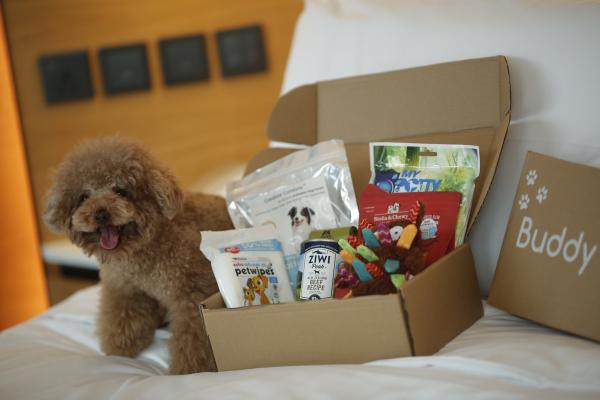 20大寵物友善．可帶貓狗入住酒店合集 麗思卡爾頓酒店（The Ritz-Carlton Hong Kong）  【THE PAWFECT STAY 寵物住宿體驗】