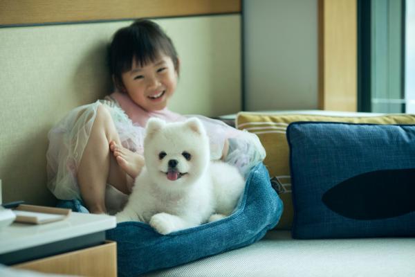 20大寵物友善．可帶貓狗入住酒店合集 麗思卡爾頓酒店（The Ritz-Carlton Hong Kong）  【THE PAWFECT STAY 寵物住宿體驗】