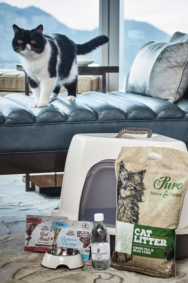 20大寵物友善．可帶貓狗入住酒店合集 麗思卡爾頓酒店（The Ritz-Carlton Hong Kong）  【THE PAWFECT STAY 寵物住宿體驗】