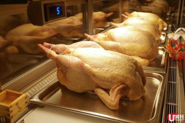 GEMS 難波 3-13 樓，每層一間餐廳。