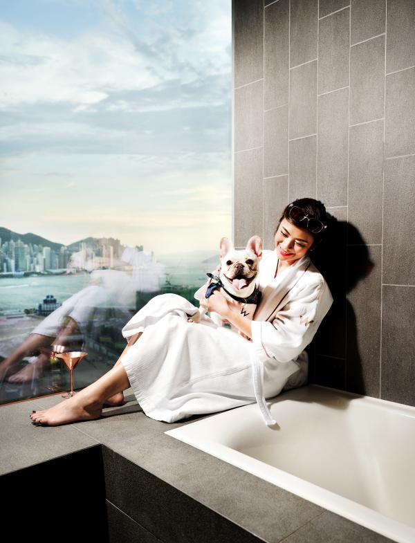20大寵物友善．可帶貓狗入住酒店合集 麗思卡爾頓酒店（The Ritz-Carlton Hong Kong）  【THE PAWFECT STAY 寵物住宿體驗】