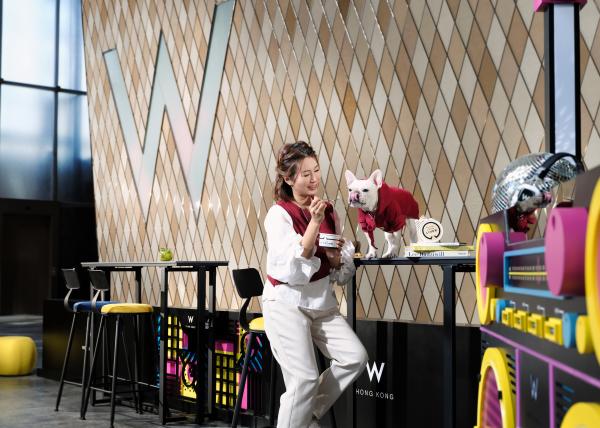 20大寵物友善．可帶貓狗入住酒店合集 麗思卡爾頓酒店（The Ritz-Carlton Hong Kong）  【THE PAWFECT STAY 寵物住宿體驗】