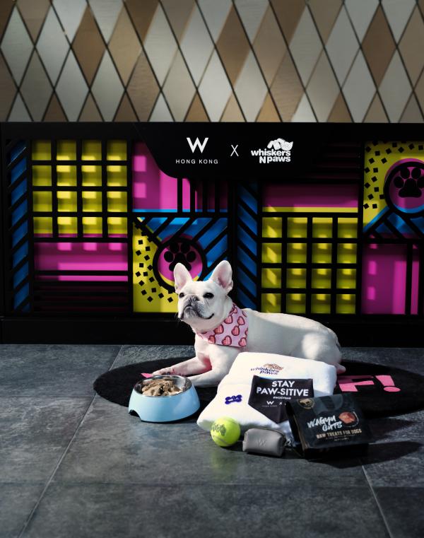 20大寵物友善．可帶貓狗入住酒店合集 麗思卡爾頓酒店（The Ritz-Carlton Hong Kong）  【THE PAWFECT STAY 寵物住宿體驗】