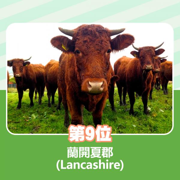 9.蘭開夏郡（Lancashire）