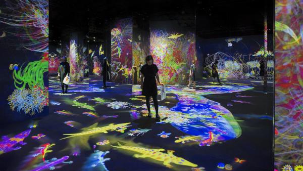 teamLab 未來遊樂園 暑假台北開展 