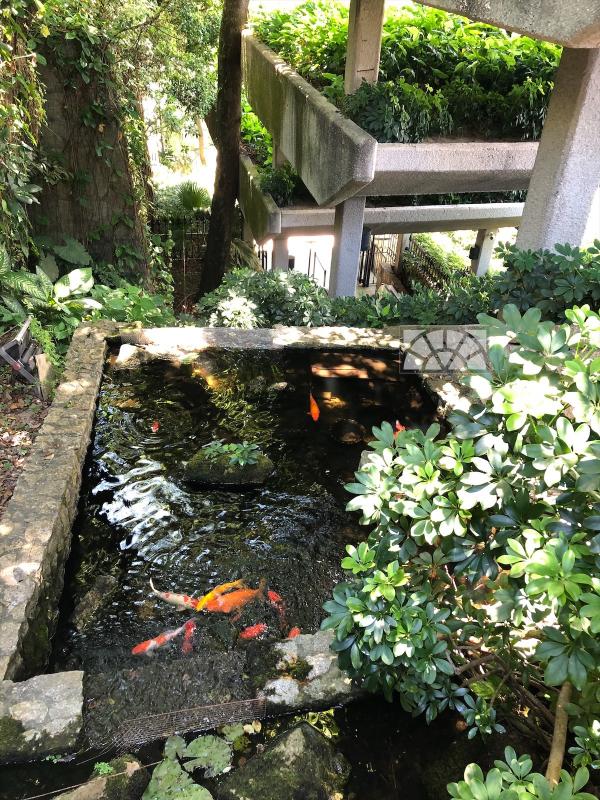 澳門博物館 Cafe 嘗老房子麵包