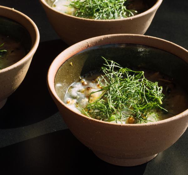 瀨戶內新綜合設施‧餐廳+咖啡室+旅館 